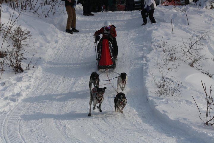 Lily+Stewart%3A+Racing+to+Success