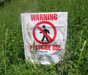 Pesticides-and-Food-Safety