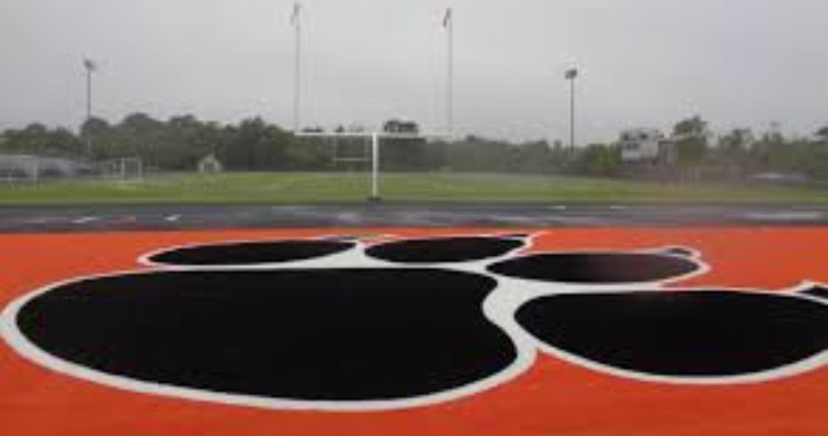 Turf: Yay or Nay?