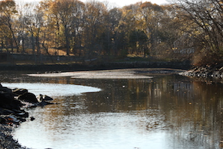 Ipswich River in Danger