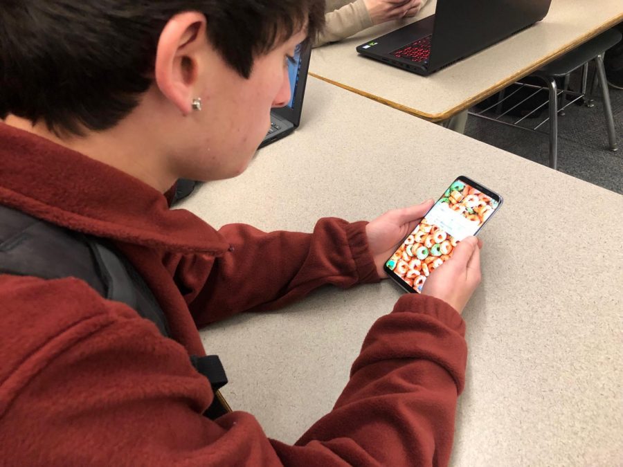 Cell Phones in Class: Effective Tool or Learning Curve?