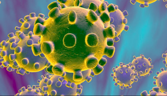 CoronaVirus: Is it the next plague?