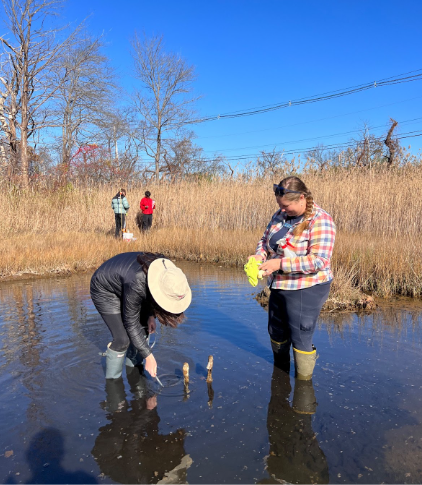 Sustainability scholars field trip to the Town Farm road marsh where students are collecting data.