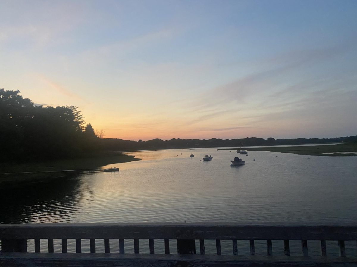 Why Ipswich's Salt Marshes Matter More Than Ever